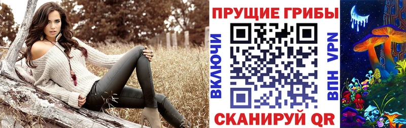 Псилоцибиновые грибы ЛСД  как найти наркотики  ОМГ ОМГ как зайти  Благодарный 